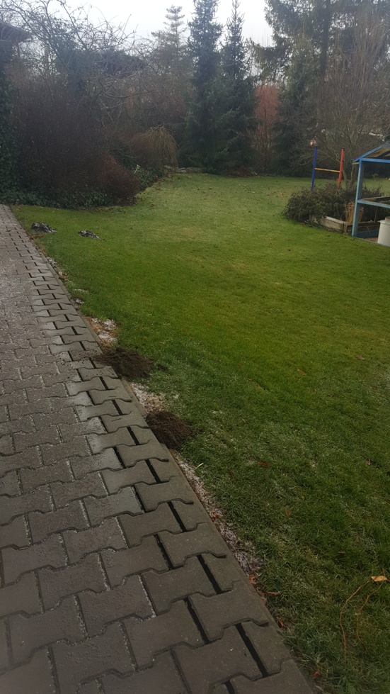 Krtek před domem