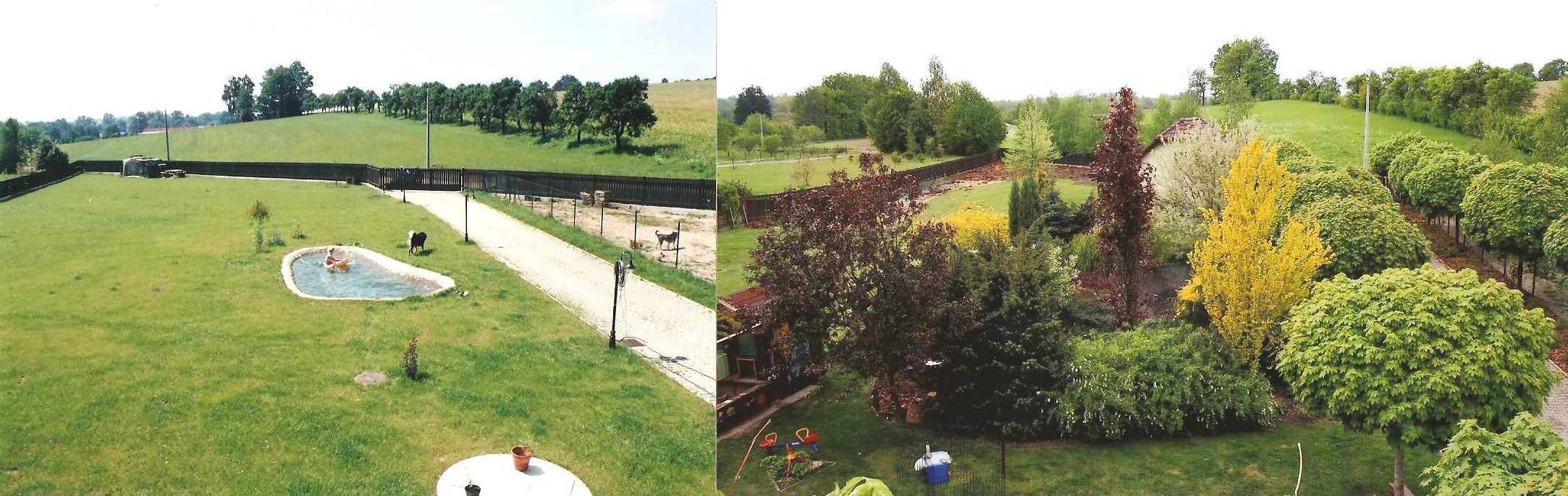 zahrada a její vývoj po šesti letech