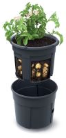 Květináč na pěstování brambor POTATO GROWER IZIE300 antracit 29,5cm
